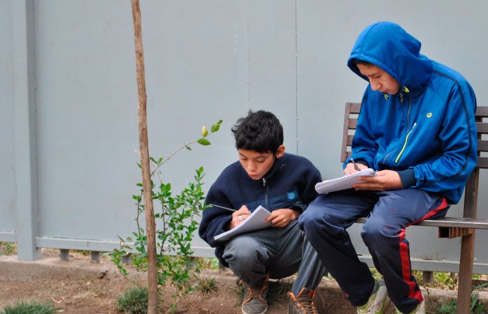 Enseñanza de Ecología en el patio de la escuela