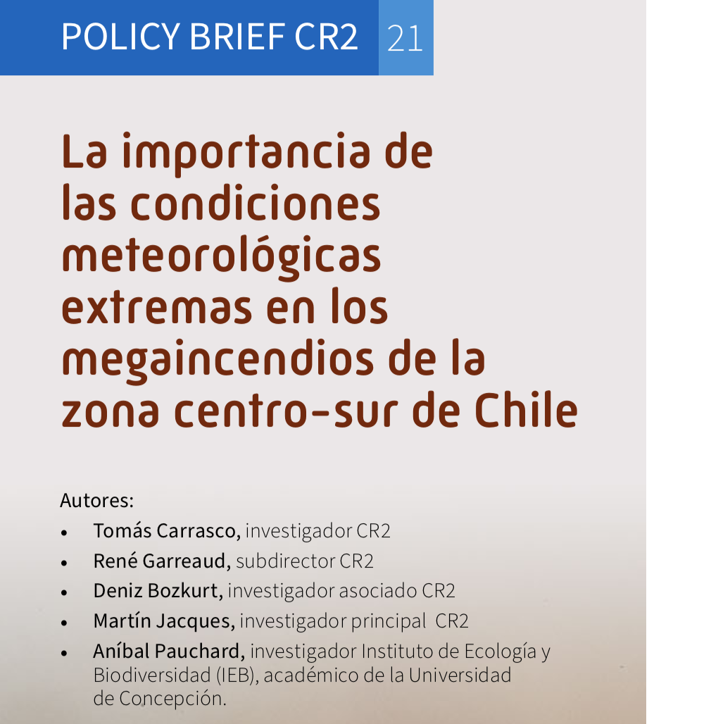 Policy brief megaincendios 2024
