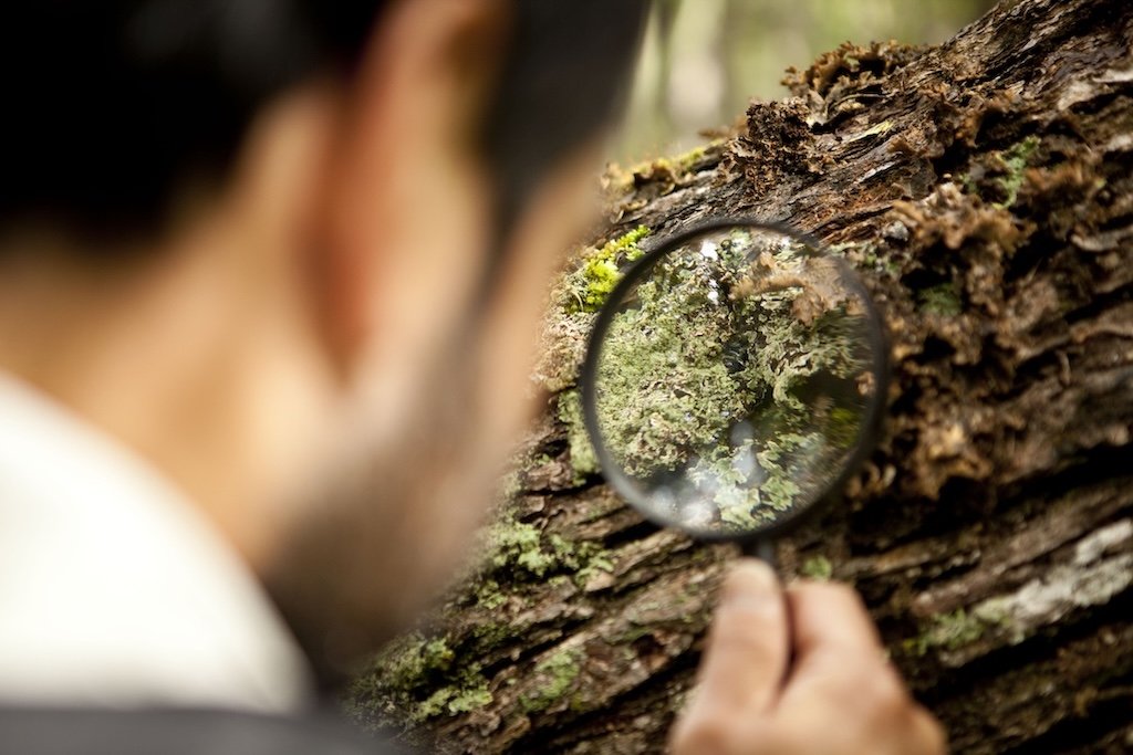 Filosofía ambiental de campo