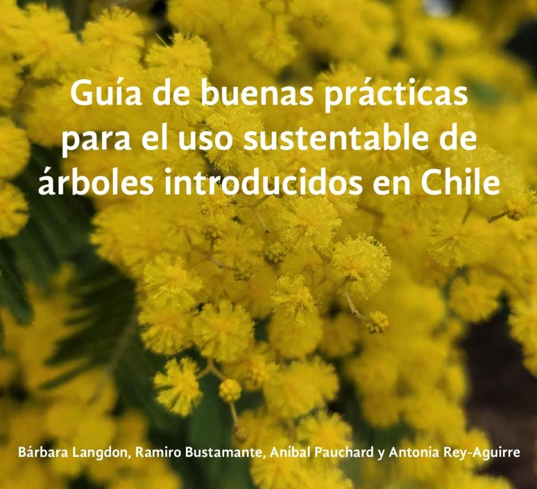 Guía de buenas prácticas para el uso sustentable de árboles introducidos en Chile